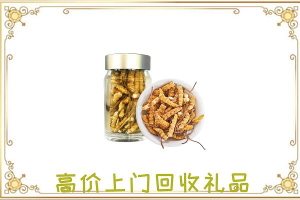 十堰周边回收虫草
